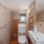 Temer * Pinezići