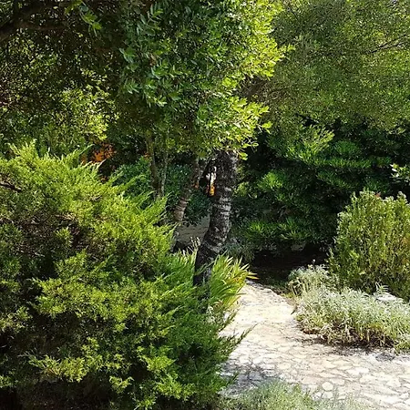 Βίλα Temer Pinezići