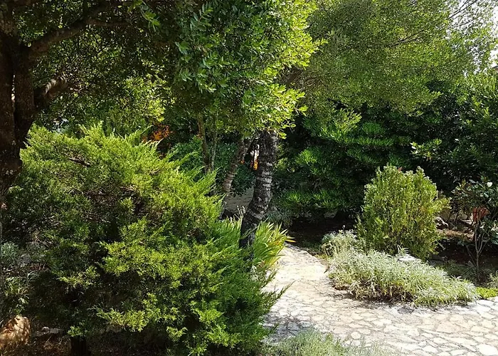 Willa Temer Pinezići