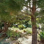 Villa Temer Pinezići