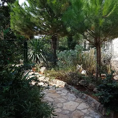Temer Villa *