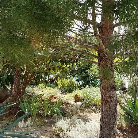 Villa Temer Pinezici (Krk)